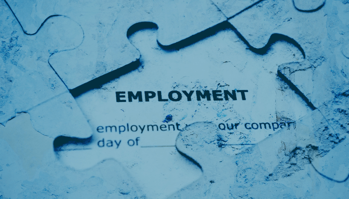 employment puzzle